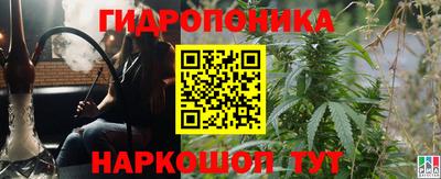 ГАЛЛЮЦИНОГЕННЫЕ ГРИБЫ Абакан