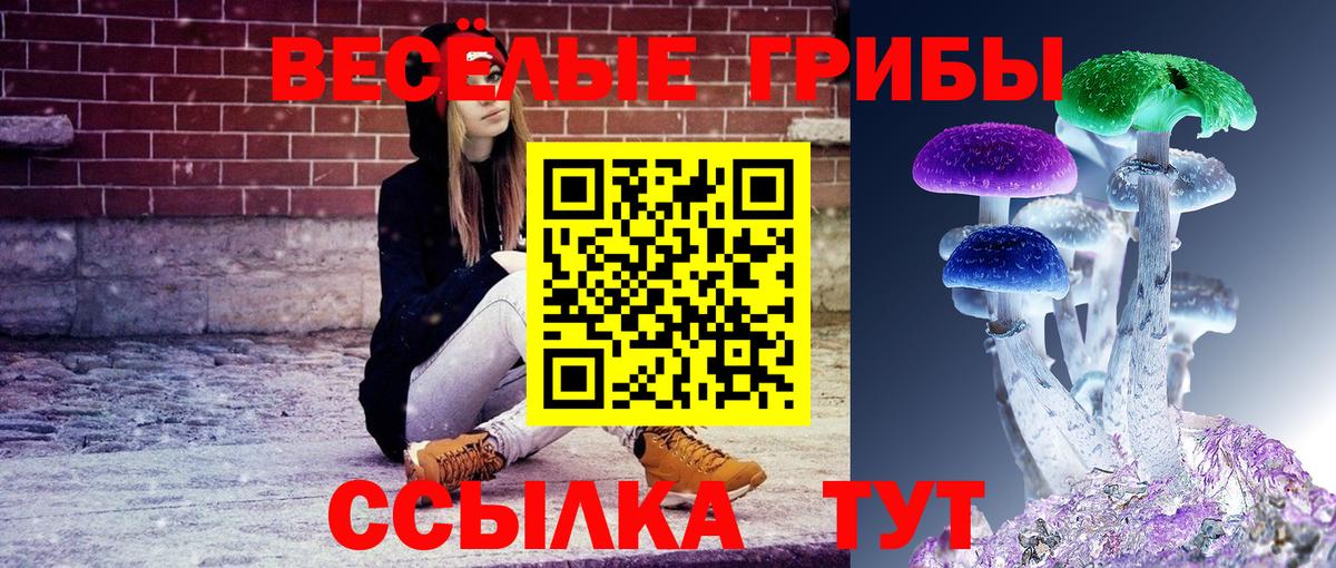 Псилоцибиновые грибы GOLDEN TEACHER Абинск
