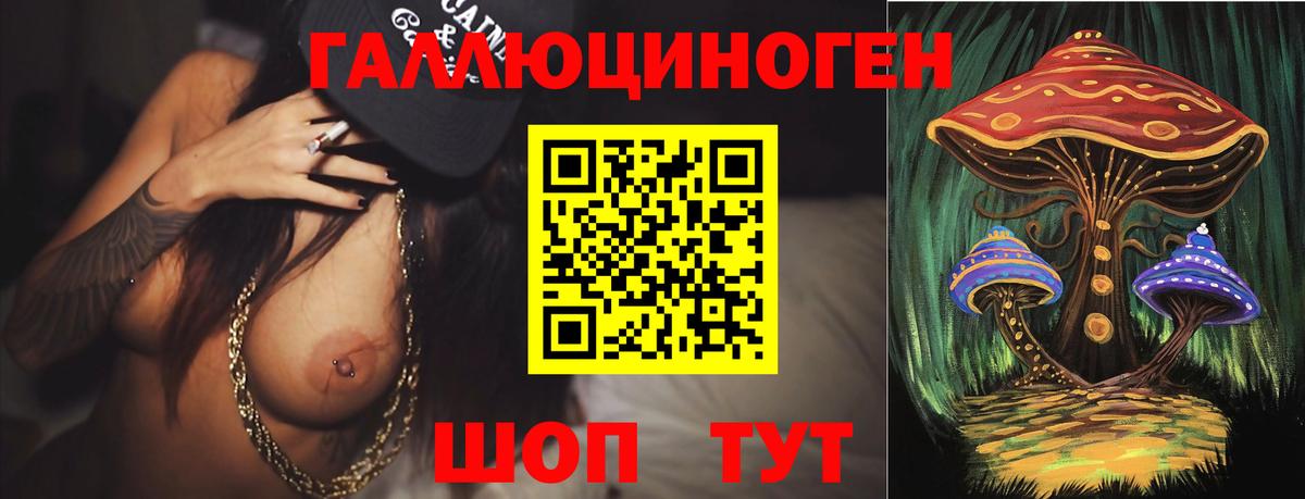 Абинск  Псилоцибиновые грибы Psilocybine cubensis  Вход с VPN  Псилоцибиновые грибы Cubensis 